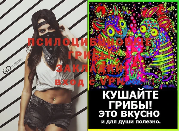 альфа пвп Алексеевка
