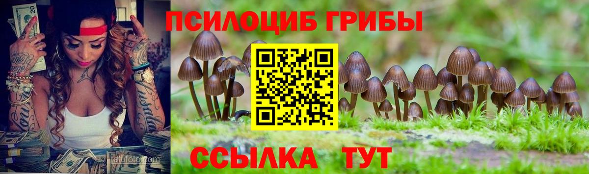 Галлюциногенные грибы Psilocybine cubensis Коряжма