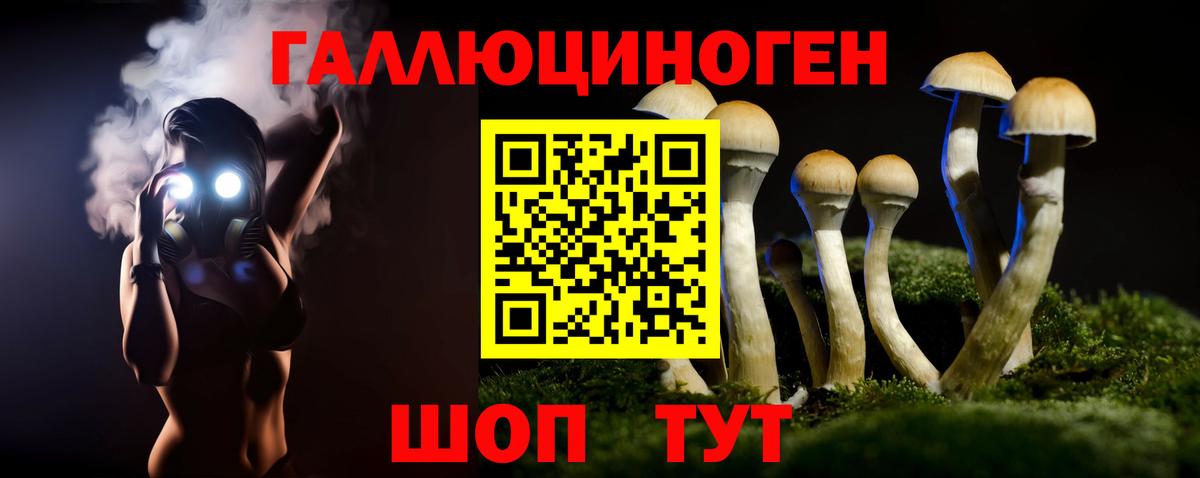Коряжма  Галлюциногенные грибы Magic Shrooms  Вход с VPN  Галлюциногенные грибы Psilocybe 